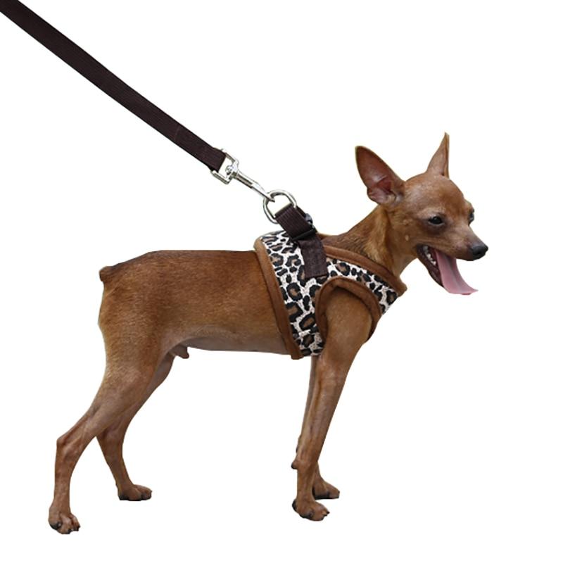 Funky Dog Harness For Small Dogs Your Little Pet Store