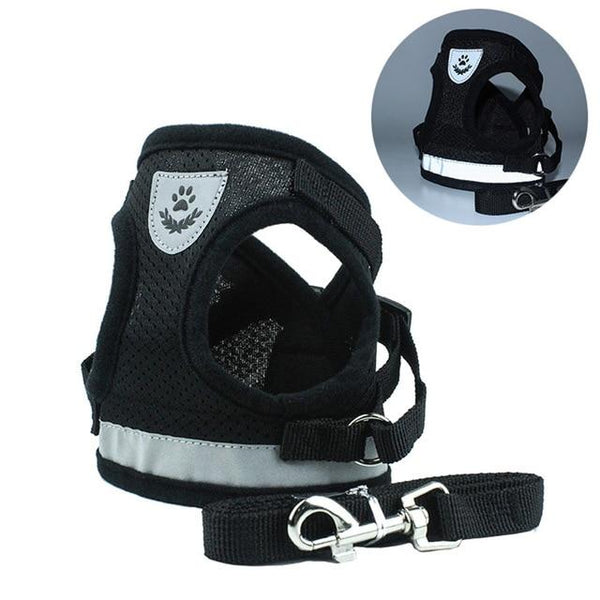 DONE Reflective Pet Dog Vest Harness & Lead Set for Small Dogs - Your Little Pet Store