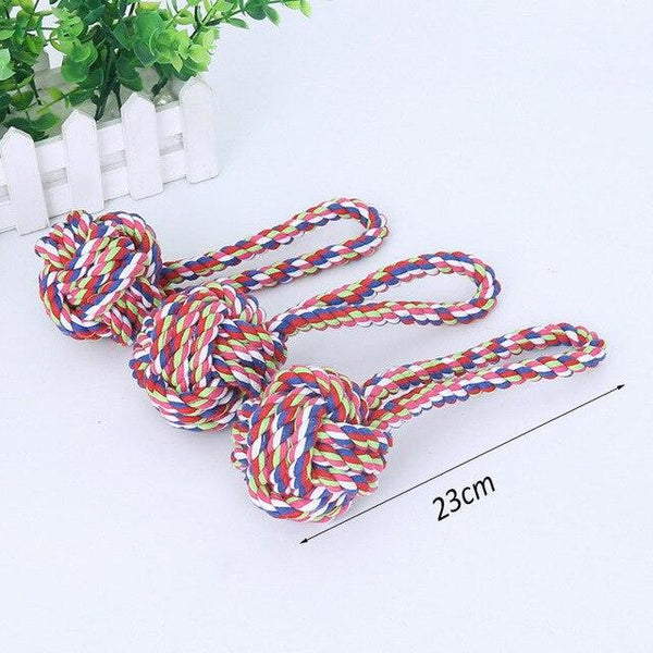 DONE Interactive Rope Ball Toy - Your Little Pet Store