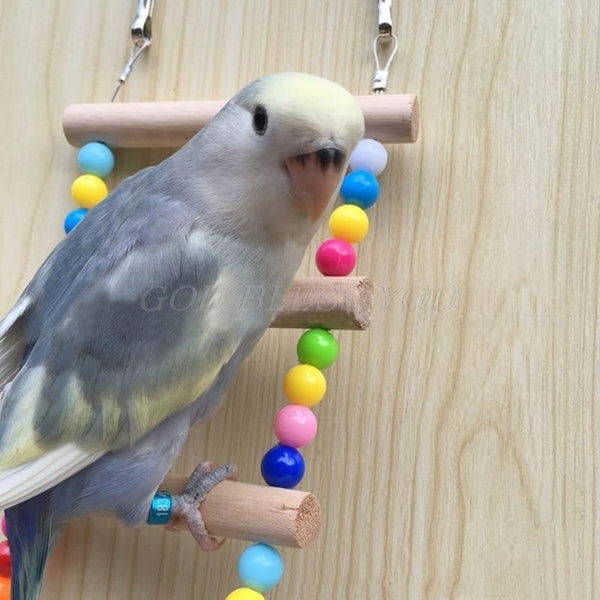 Bird Ladders Climbing Toy - Your Little Pet Store